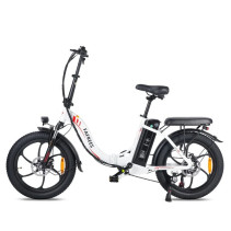Fafrees F20 250W 16Ah elektrinis dviratis