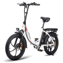 Fafrees F20 250W 16Ah elektrinis dviratis