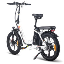 Fafrees F20 250W 16Ah elektrinis dviratis