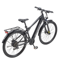 RANDRIDE YG70 1000W 14Ah miesto elektrinis dviratis