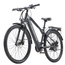 RANDRIDE YG70 1000W 14Ah miesto elektrinis dviratis
