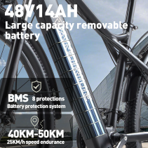 RANDRIDE YG70 1000W 14Ah miesto elektrinis dviratis
