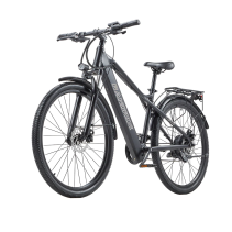 RANDRIDE YG70 1000W 14Ah miesto elektrinis dviratis