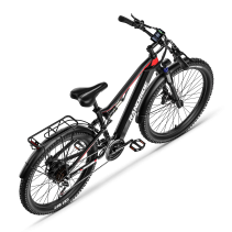 RANDRIDE YG90B 1000W 17Ah 29 elektrinis kalnų dviratis