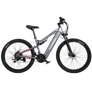 RANDRIDE YG90A 1000W 17Ah elektrinis kalnų dviratis