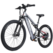 RANDRIDE YG90A 1000W 17Ah elektrinis kalnų dviratis