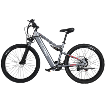 RANDRIDE YG90A 1000W 17Ah elektrinis kalnų dviratis