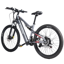 RANDRIDE YG90A 1000W 17Ah elektrinis kalnų dviratis