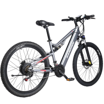 RANDRIDE YG90A 1000W 17Ah elektrinis kalnų dviratis