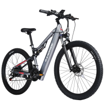 RANDRIDE YG90A 1000W 17Ah elektrinis kalnų dviratis