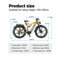 RANDRIDE YX80-2 2000W (2x1000W) 20Ah dviejų variklių elektrinis dviratis