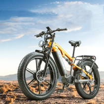 RANDRIDE YX80-2 2000W (2x1000W) 20Ah dviejų variklių elektrinis dviratis