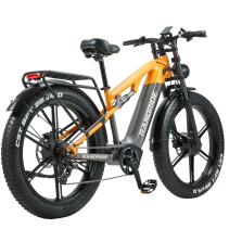 RANDRIDE YX80-2 2000W (2x1000W) 20Ah dviejų variklių elektrinis dviratis