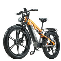 RANDRIDE YX80-2 2000W (2x1000W) 20Ah dviejų variklių elektrinis dviratis