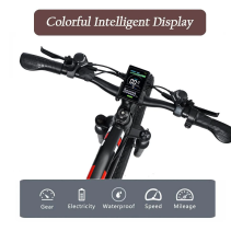 RANDRIDE YX90M 1000W 13.6Ah elektrinis dviratis FATBIKE