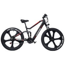 RANDRIDE YX90M 1000W 13.6Ah elektrinis dviratis FATBIKE