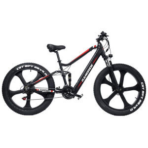 RANDRIDE YX90M 1000W 13.6Ah elektrinis dviratis FATBIKE