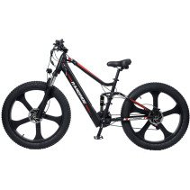 RANDRIDE YX90M 1000W 13.6Ah elektrinis dviratis FATBIKE
