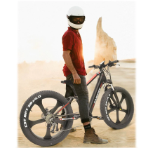 RANDRIDE YX90M 1000W 13.6Ah elektrinis dviratis FATBIKE