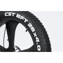 RANDRIDE YX90M 1000W 13.6Ah elektrinis dviratis FATBIKE
