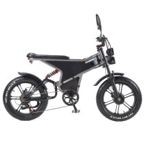 RANDRIDE DM711 2000W 20Ah (2×1000W) elektrinis dviratis FATBIKE