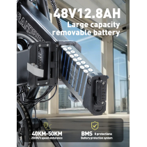 RANDRIDE YA20 350W 12.8Ah sulankstomas elektrinis dviratis