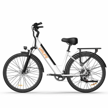 URLIFE E26 250W 13Ah miesto elektrinis dviratis