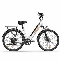 URLIFE E26 350W 10.4Ah miesto elektrinis dviratis