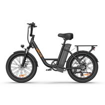 URLIFE E20 250W 13Ah elektrinis dviratis