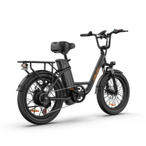 URLIFE E20 250W 13Ah elektrinis dviratis