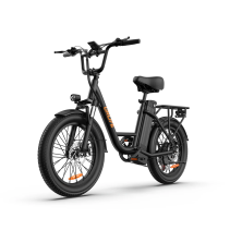 URLIFE E20 250W 13Ah elektrinis dviratis