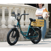 URLIFE E20 250W 13Ah elektrinis dviratis