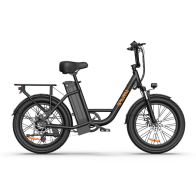 URLIFE E20 250W 13Ah elektrinis dviratis