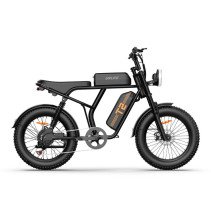 URLIFE T2 500W 15.6Ah elektrinis dviratis