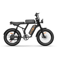 URLIFE T2 500W 15.6Ah elektrinis dviratis