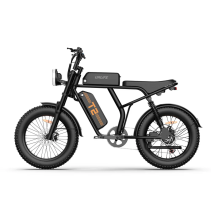 URLIFE T2 500W 15.6Ah elektrinis dviratis