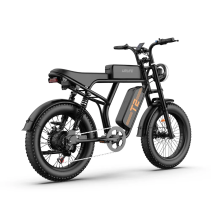 URLIFE T2 500W 15.6Ah elektrinis dviratis