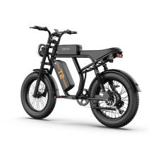 URLIFE T2 500W 15.6Ah elektrinis dviratis