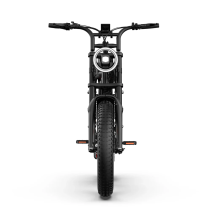 URLIFE T2 500W 15.6Ah elektrinis dviratis