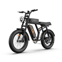 URLIFE T2 500W 15.6Ah elektrinis dviratis