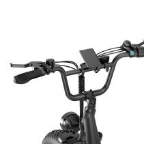 URLIFE E20 Pro 750W 15.6Ah elektrinis dviratis