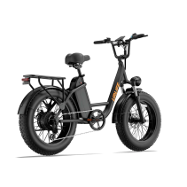 URLIFE E20 Pro 750W 15.6Ah elektrinis dviratis