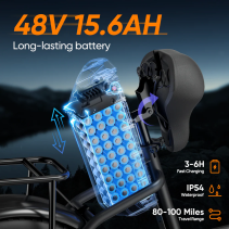URLIFE E20 Pro 750W 15.6Ah elektrinis dviratis