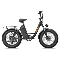 URLIFE E20 Pro 750W 15.6Ah elektrinis dviratis