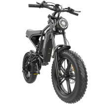 Hidoes B6 1200W 15.6Ah elektrinis dviratis