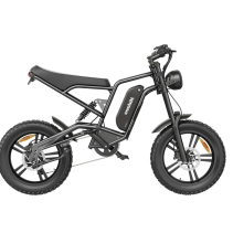 Hidoes B6 1200W 15.6Ah elektrinis dviratis
