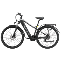 HALO KNIGHT H02 750W 48V 16Ah elektrinis dviratis
