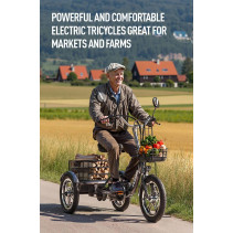 Cysum T1 Pro 350W 22Ah elektrinis triratis su galine krovinių dėže