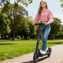 Freeboy J03 Pro 350W 10.4Ah elektrinis miesto paspirtukas
