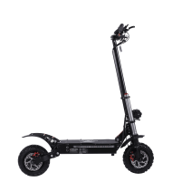 Freeboy J30 Max 6000W 60V 38Ah galingas off-road elektrinis paspirtukas
